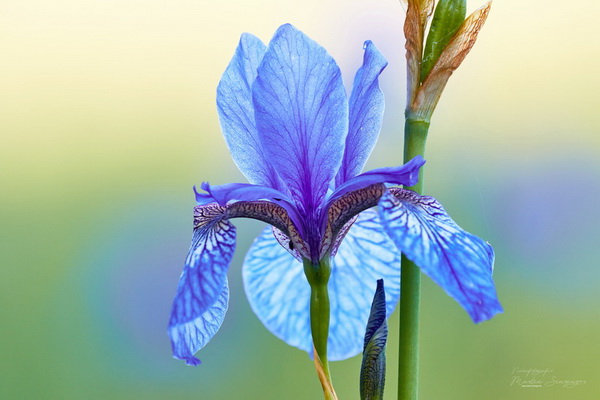 Bilderauswahl zur Ausstellung
