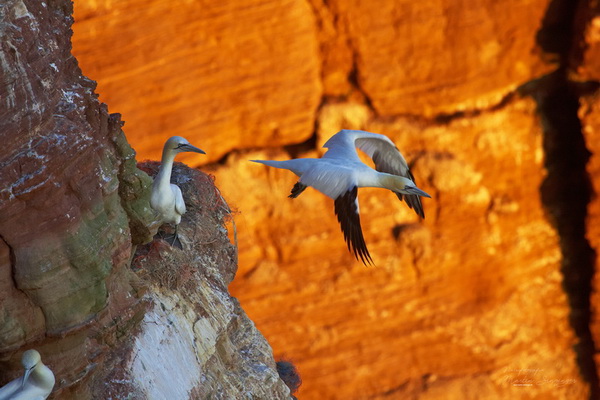 Bilderauswahl zur Ausstellung