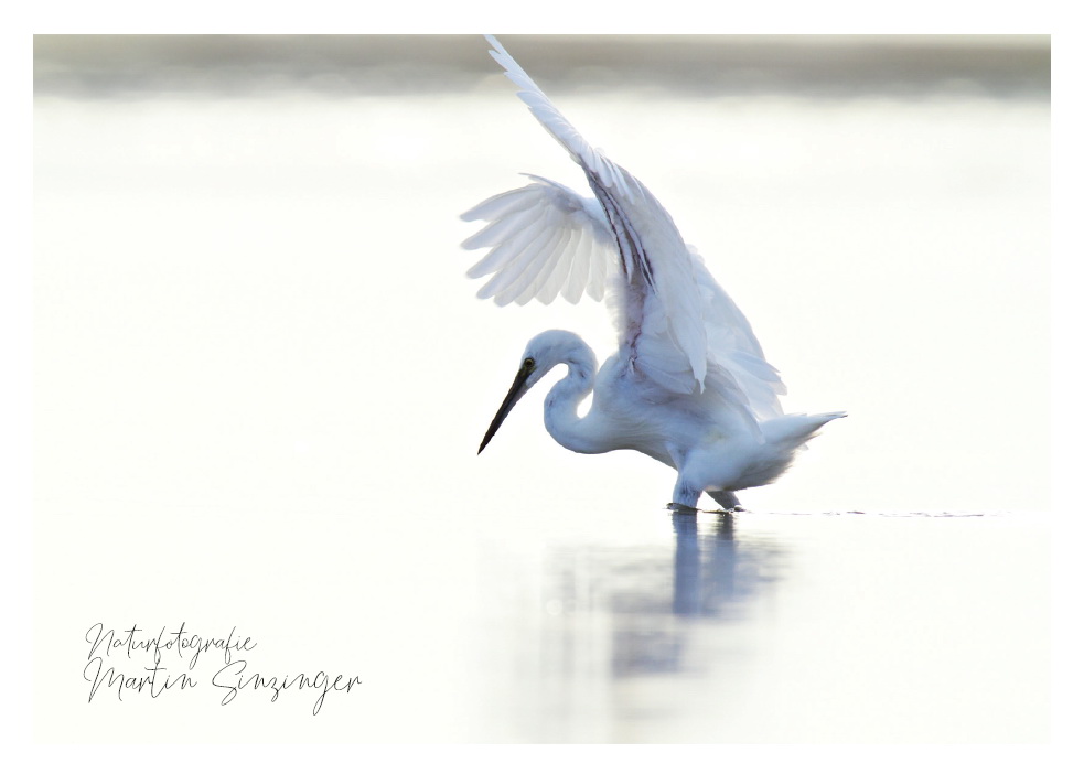 Postkarten Naturfotografie