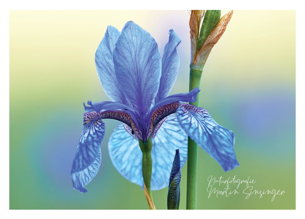 Postkarten Naturfotografie