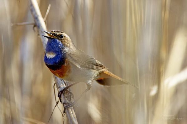 Bilderauswahl zur Ausstellung