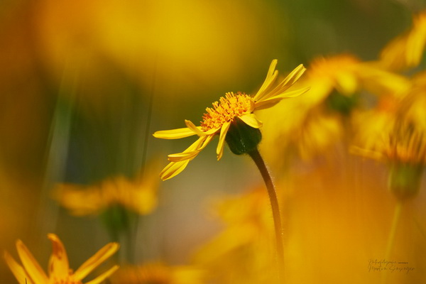 Bilderauswahl zur Ausstellung