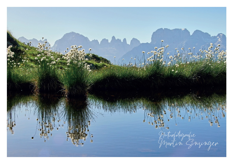 Postkarten Naturfotografie