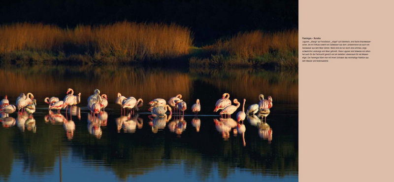 Martin Sinzinger - Schönheit entdecken
