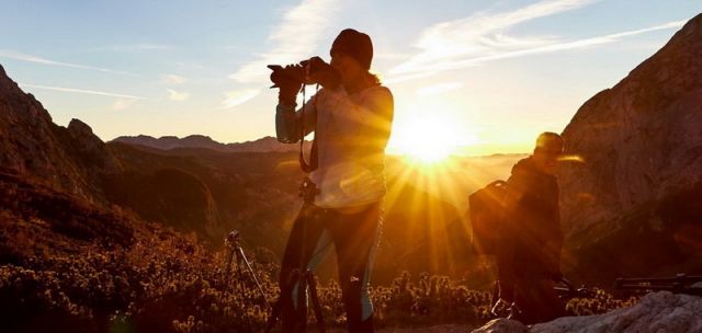 Naturfotografie Martin Sinzinger Naturfotografie Martin Sinzinger