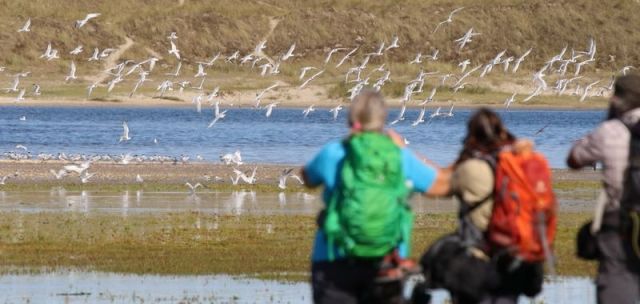 Naturfotografie Martin Sinzinger Naturfotografie Martin Sinzinger