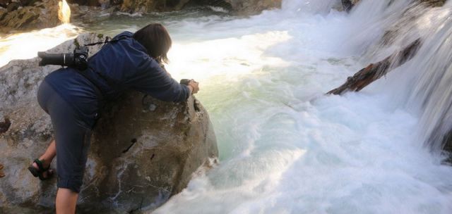 Naturfotografie Martin Sinzinger Naturfotografie Martin Sinzinger