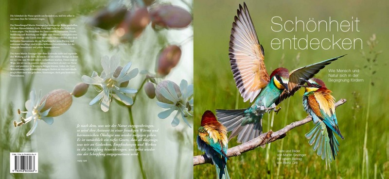 Martin Sinzinger - Schönheit entdecken