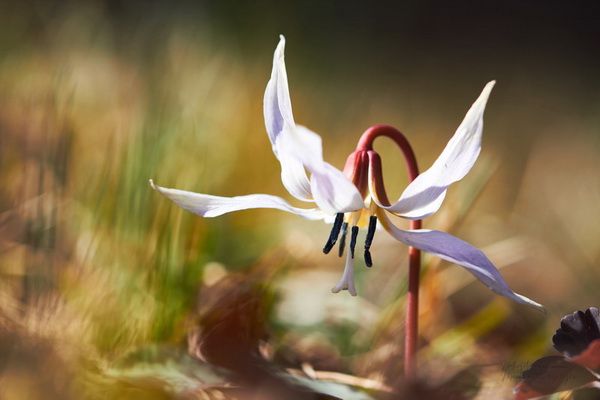 Bilderauswahl zur Ausstellung