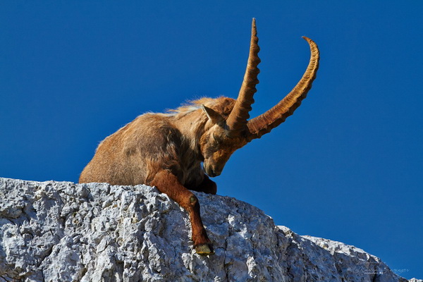 Bilderauswahl zur Ausstellung