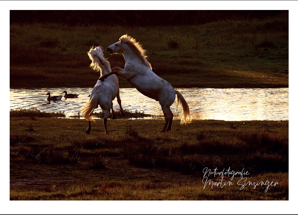 Postkarten Naturfotografie