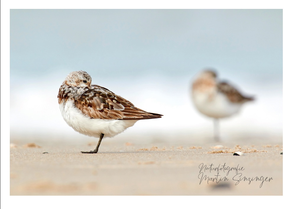 Postkarten Naturfotografie