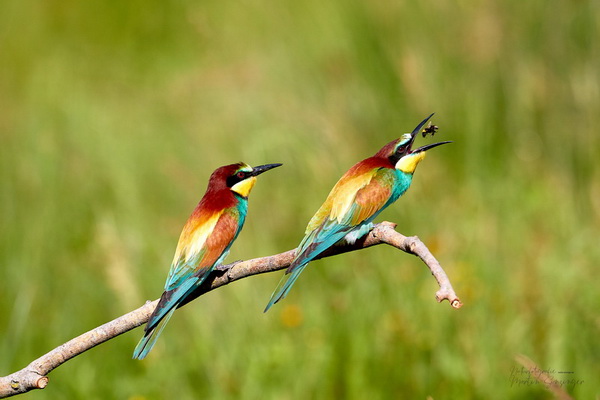 Bilderauswahl zur Ausstellung