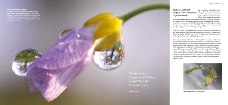 Martin Sinzinger - Schönheit entdecken