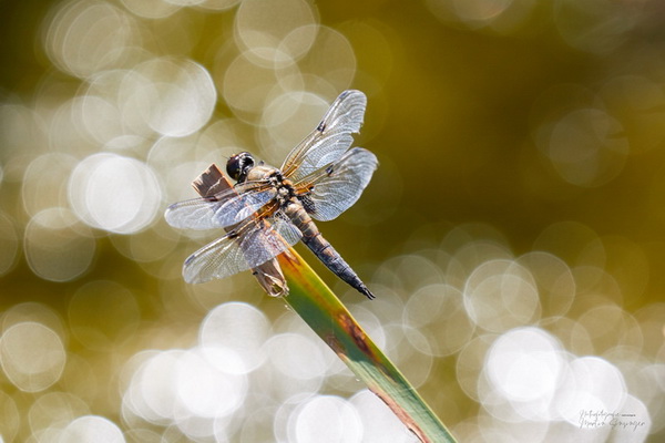Bilderauswahl zur Ausstellung