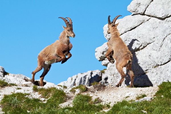 Bilderauswahl zur Ausstellung