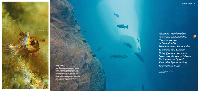 Martin Sinzinger - Schönheit entdecken