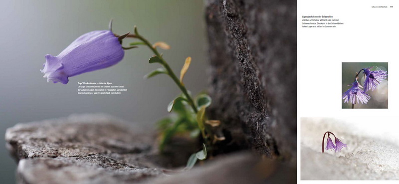 Martin Sinzinger - Schönheit entdecken