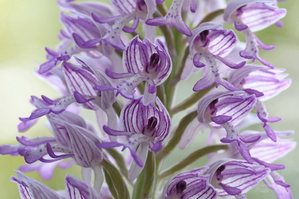 Bilderauswahl zur Ausstellung