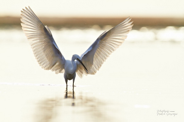 Bilderauswahl zur Ausstellung